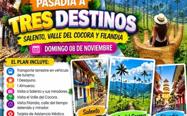 Pasadia a Tres Destinos (Salento, Valle del cocora y Filandia)