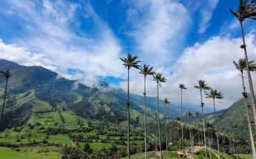 Valle del Cocora