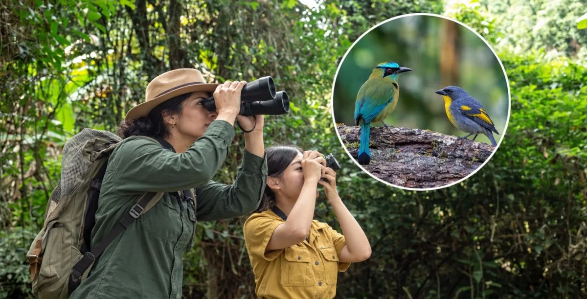 Avistamientos de aves