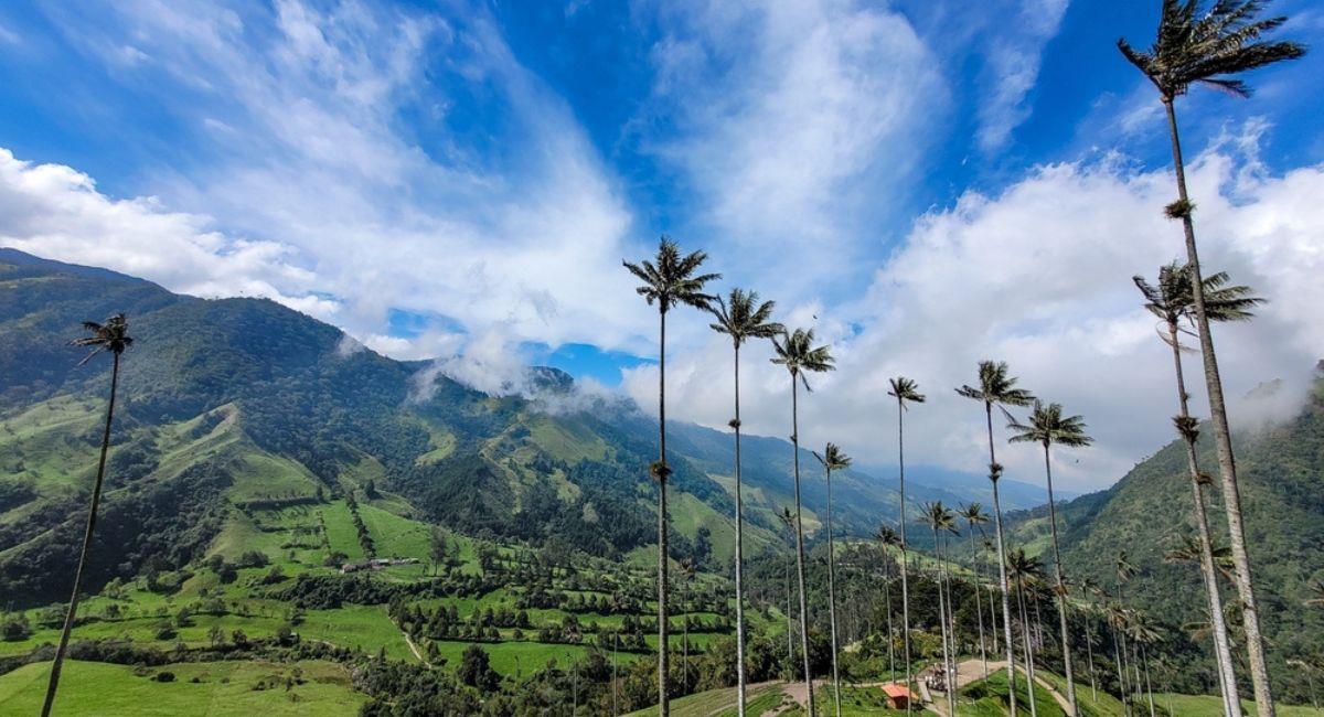 Valle del Cocora