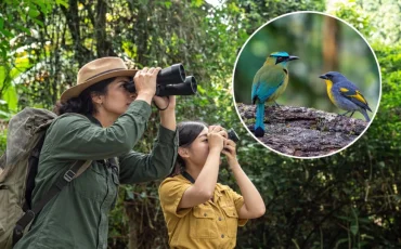 Avistamientos de aves